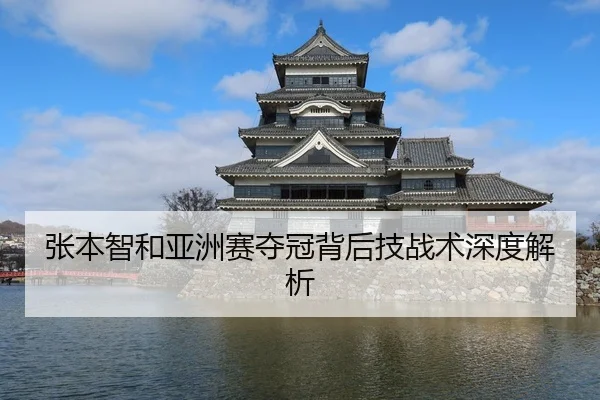 张本智和亚洲赛夺冠背后技战术深度解析